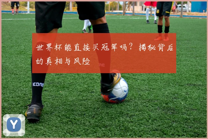 世界杯能直接买冠军吗？揭秘背后的真相与风险