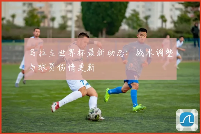 乌拉圭世界杯最新动态:战术调整与球员伤情更新