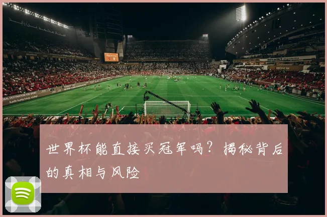 世界杯能直接买冠军吗？揭秘背后的真相与风险