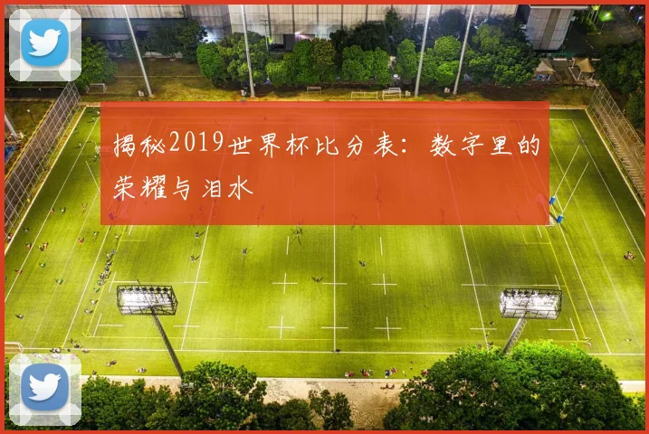 揭秘2019世界杯比分表：数字里的荣耀与泪水