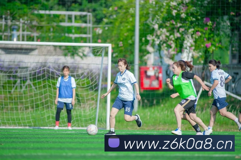 mksports登录入口发展历程
